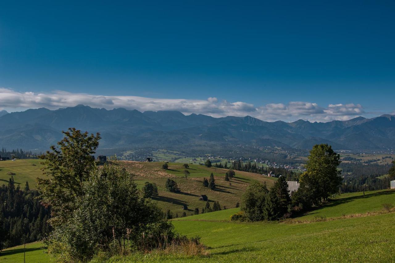 Domki U Skowyrow Gliczarów Dış mekan fotoğraf